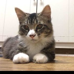 Meet your Posher, Monica